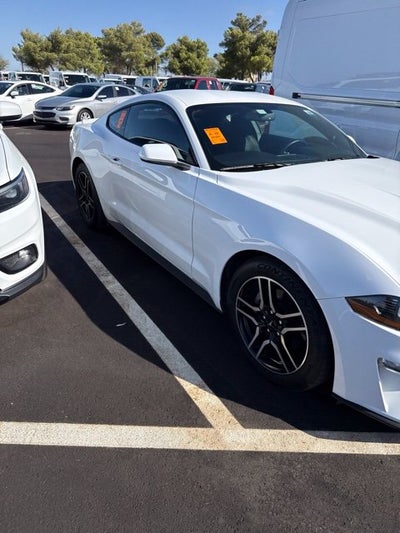 2019 Ford Mustang EcoBoost