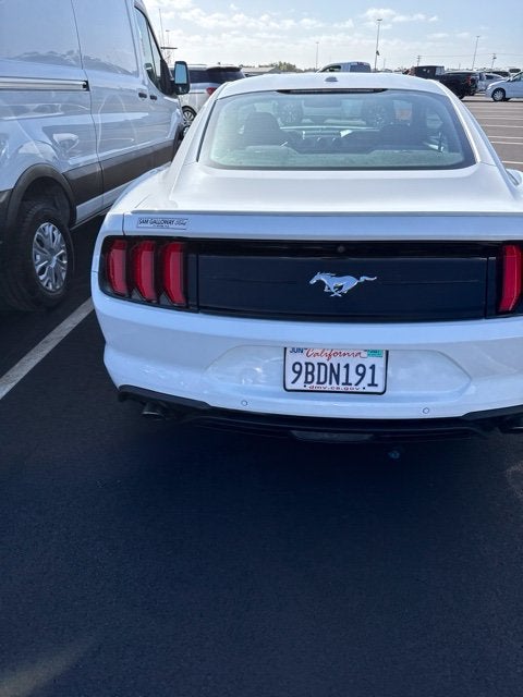2019 Ford Mustang EcoBoost