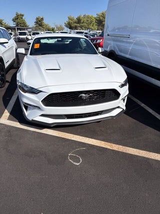 2019 Ford Mustang EcoBoost
