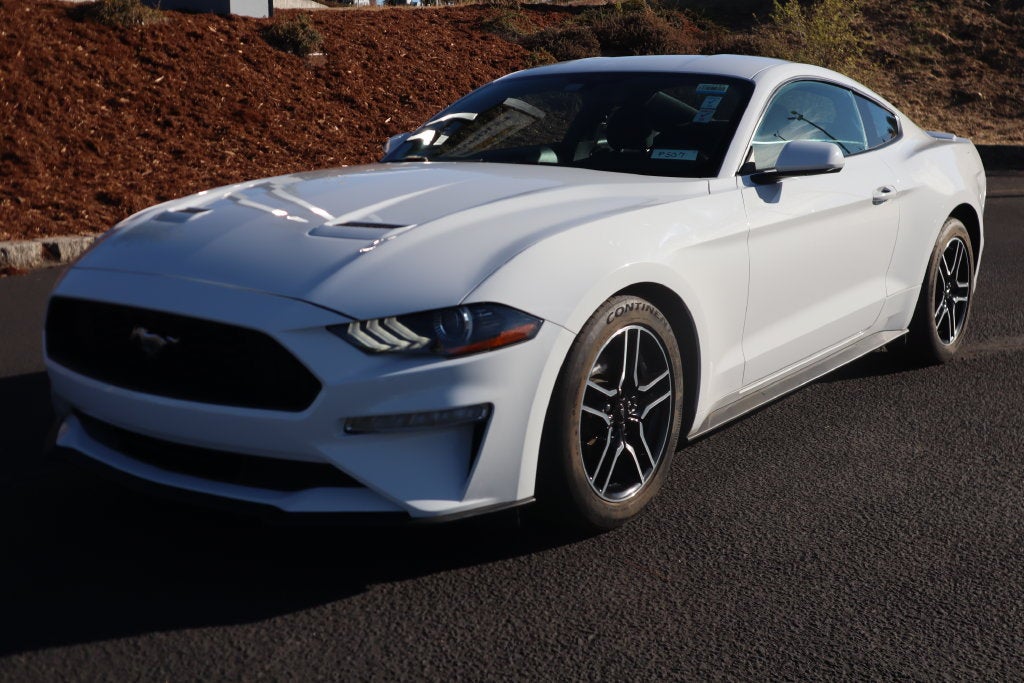 2019 Ford Mustang
